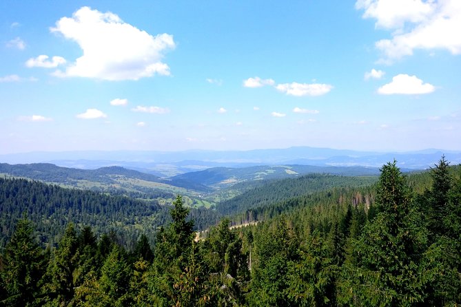 From Krakow: Slovakia Treetop Walk and Thermal Baths Private Tour - Tour Overview