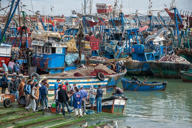 From Marrakech: Essaouira Full-Day Trip - Trip Overview