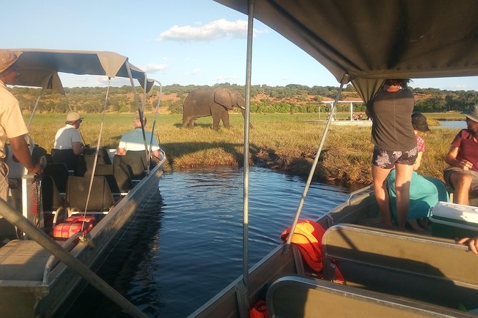 From Victoria Falls: Chobe National Park Small Group Tour - Wildlife Sightings