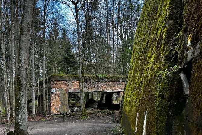 From Vilnius: Private Day Tour to Wolfs Liar (Hitlers Bunker) - Cancellation Policy