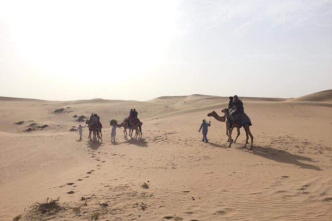 Full-Day Desert Safari Jeep Tour in Ash Sharqiyah Governorate - Reviews