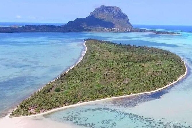 Full Day Dolphins Encounter Ile Aux Benitiers and Crystal Rock - Operator Information