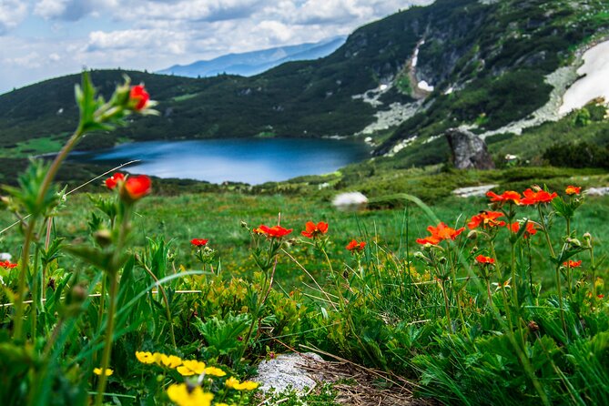 Full-Day Guided Tour to Seven Rila Lakes in Bulgaria - What to Expect