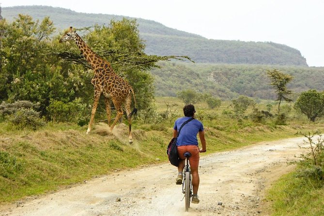 Full Day Hells Gate National Park Guided Tour From Nairobi - Important Information