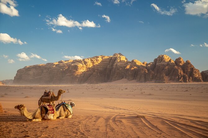 Full-Day Jeep Tour, Wadi Rum Desert Highlights - What To Expect