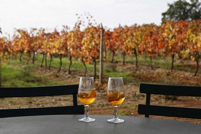 Full-Day Private Tour in Arrábida With Winery Tour From Lisbon - Directions to Meeting Point