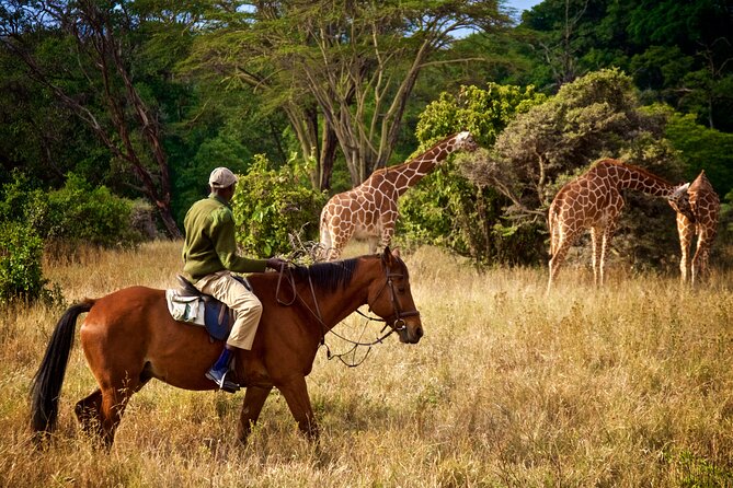 Full Day Private Tour in Lake Duluti Kayaking and Horse Riding - Start Time and Additional Info