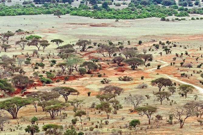 Full-Day to the Tsavo East National Park From Mombasa - Additional Information