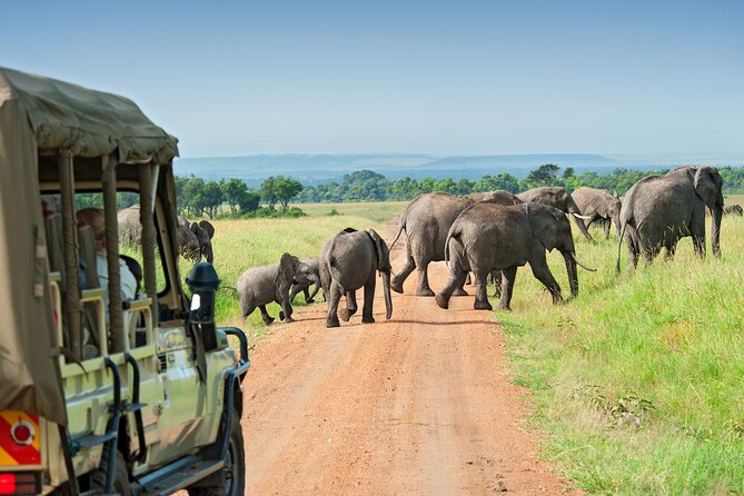 Full Day Tour in Ngorongoro Conservation Area Tanzania