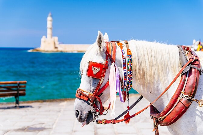 Full Day Tour Rethymnon Chania Lake Kournas - Important Reminders