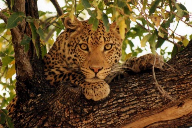 Full-Day Trip to Tarangire National Park - Additional Tips and Resources