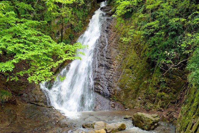 Gabala Private Tour - Frequently Asked Questions