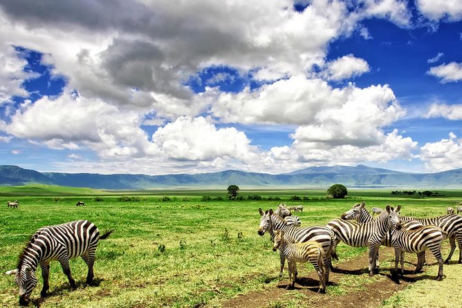 Game Drive Into the Musi Otunya National Park - Frequently Asked Questions