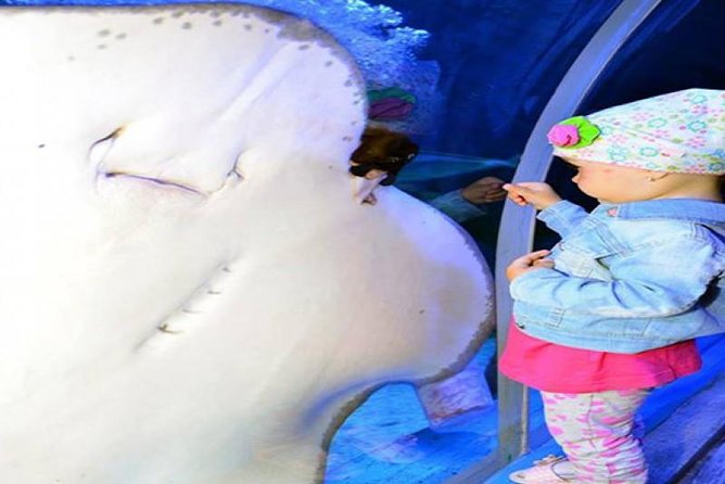 Grand Aquarium Museum Hurghada With Transfer - Hughada - Inclusions: Hotel Pick-Up, Admission Fees