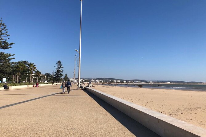 Group Day Trip From Marrakech to Essaouira - Timing and Logistics