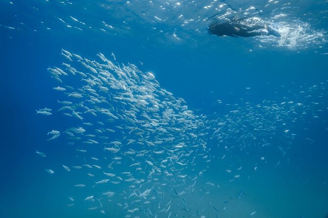 Guided Snorkeling Activity in Papagayo Beach Lanzarote - Cancellation Policy