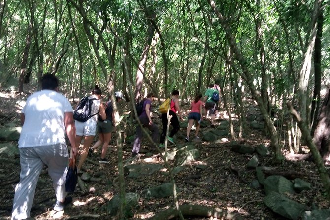 Half-day Accra Safari Tour - Hiking Adventure