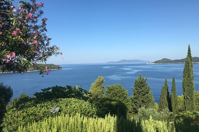 Half Day Boat Tour to the Elaphiti Islands From Dubrovnik-Private - Customer Reviews