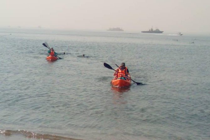 Half Day Kayaking Adventure in Walvis Bay - Additional Information