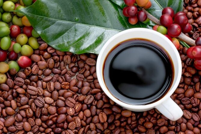Half-Day Private Fairview Estate Coffee Farm Tour With Pick up - The Sum Up