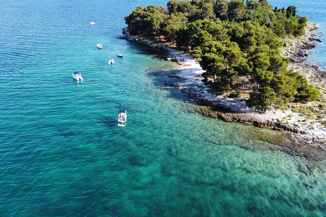 Half-Day Private Lim Fjord and Red Island Speedboat Tour - Tour Overview