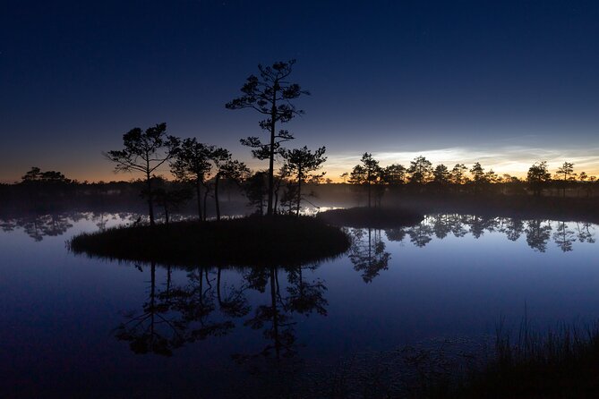 Half Day Private Walking Tour in Estonia Wilderness - Rest and Fitness Requirements