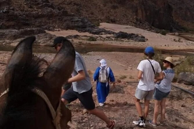 Half Day Private Walking Tour in Sidiflah Gorges