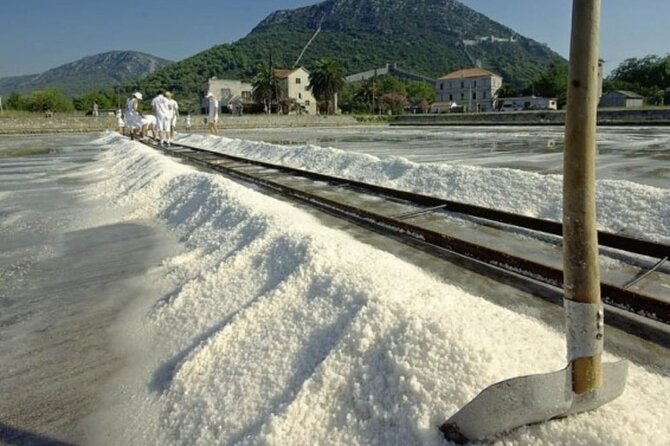 Half-Day Private Wine and Oyster Tasting Tour in The City of Ston - Start Time