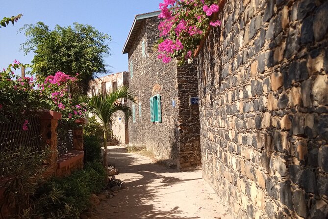Half Day Tour : Explore Goree Island - Customer Reviews