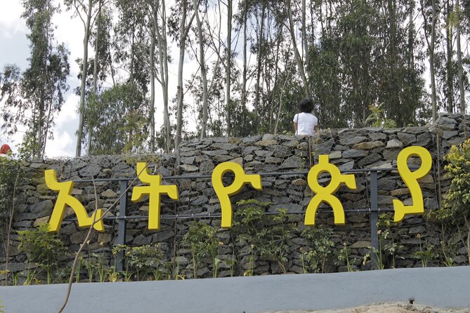 Harar, Eastern Ethiopia; 3 Days / 2 Nights - Local Hyena Feeding Observation