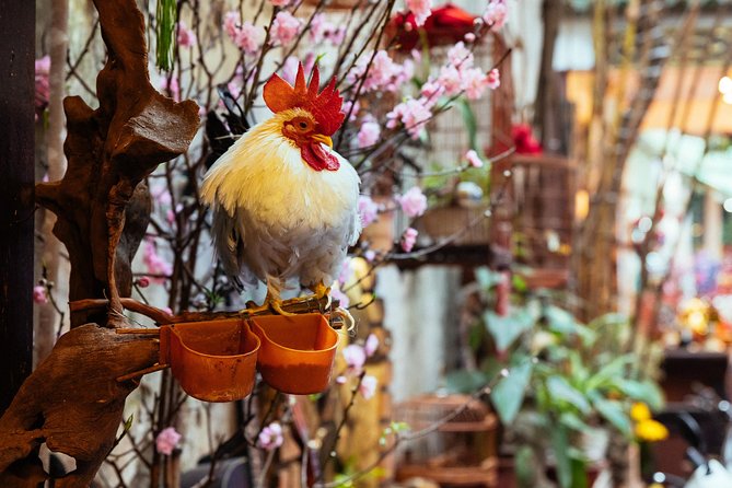 Highlights & Hidden Gems With Locals: Best of Hanoi Private Tour - Tour Reviews