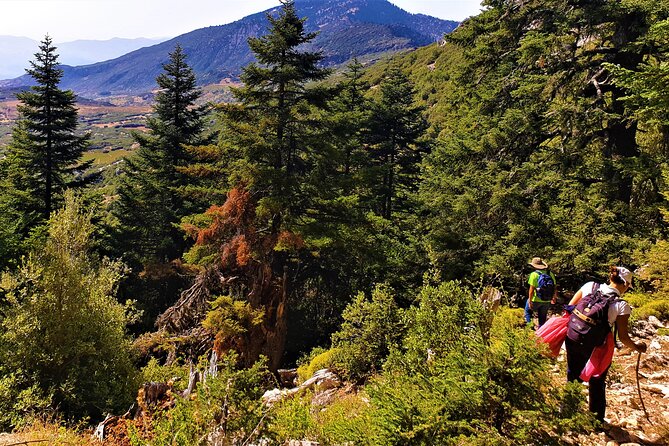 Hiking Arround Chefchaouen and Talassemtane Park With Berber Villages Visit - Inclusions and Meals Provided