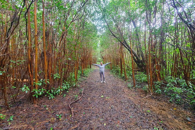Hiking the Black River Gorges: Full-Day With Lunch and Transfer - Tour Inclusions