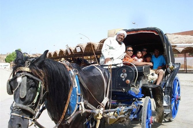 Horse Carriage Ride in Aswan - Booking and Cancellation Policy
