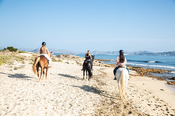 Horse Riding in Mallorca on the Beach - Traveler Restrictions