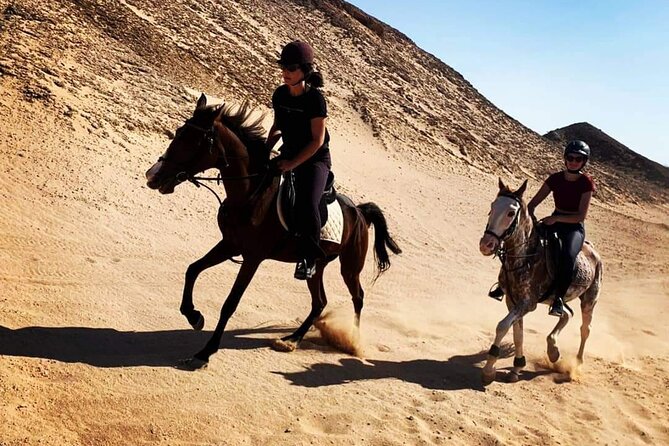 Horse Riding One Hours at Amazing Desert With Transfer - Marsa Alam - Tour Details