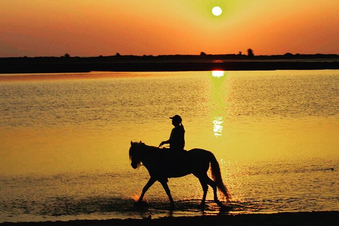 Horseback Riding at Sunrise 3h - Directions