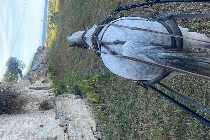 Horseback Riding Through the Apulian Countryside - Directions and Transfer Information