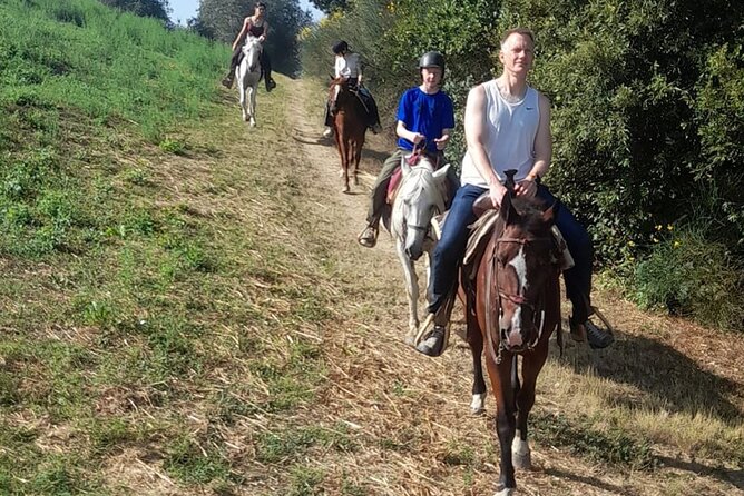 Horseback Riding Tour in the Chianti Hills in Tuscany - Price & Booking Options