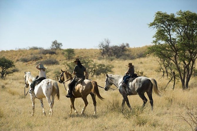 Horseriding Safari Day Tour From Johannesburg