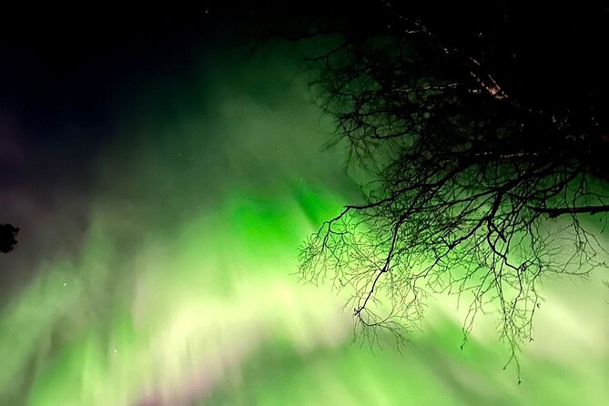 Hunting Aurora With BBQ in Small Group - Inclusions and Exclusions