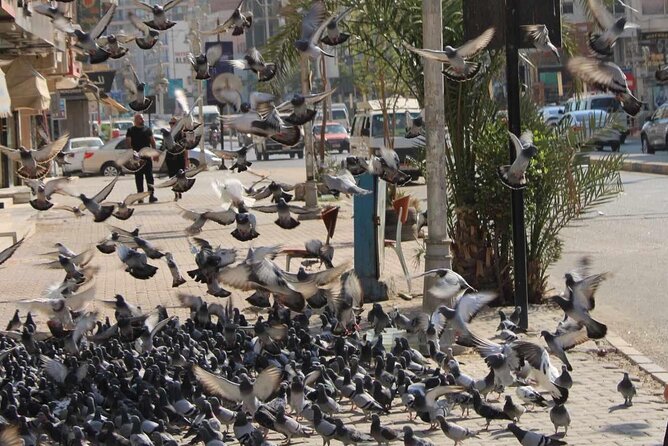 Hurghada City Tour - Tour Overview