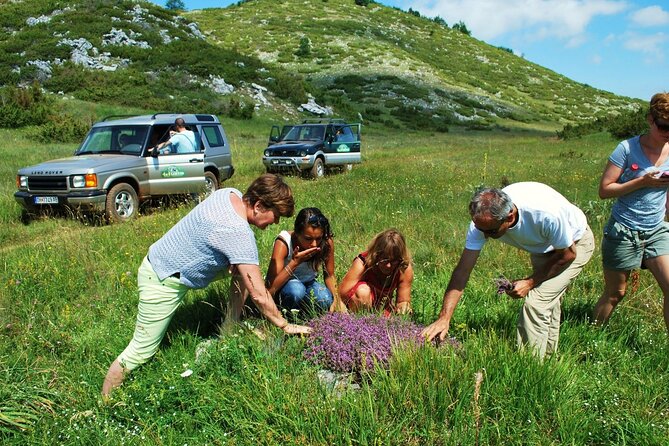 Jeep Safari National Park Galicica - Additional Information: Confirmation, Accessibility, Travel Tips