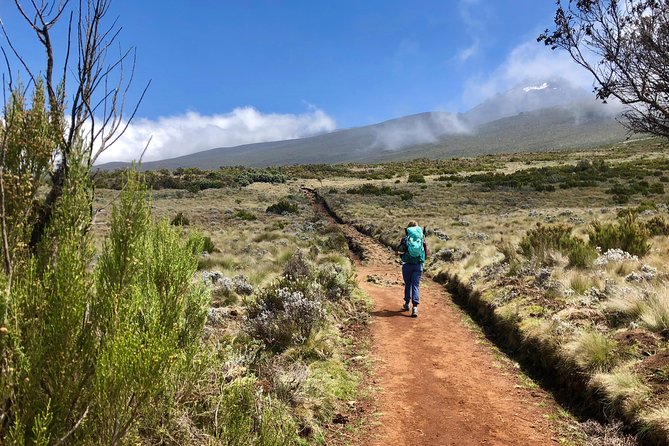 Kilimanjaro: Lemosho Route and Camping Safari - Itinerary Highlights
