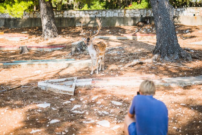 Korcula Islands Picnic Boat Tour - The Sum Up