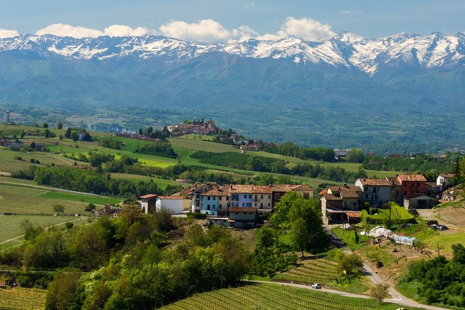Langhe and Barolo Wine Tour From Turin