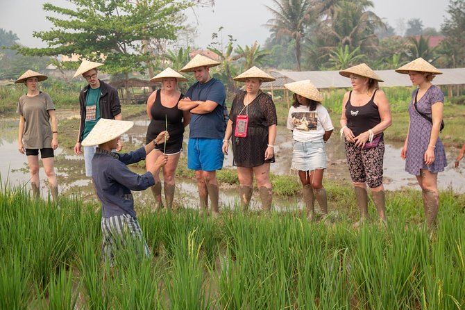 Living Land Rice Farming Experience - Frequently Asked Questions
