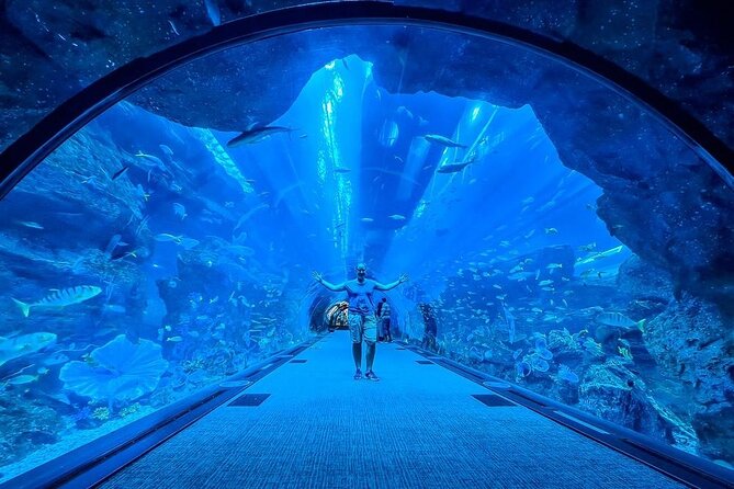Lost Chamber Aquarium Entry Ticket With Private Transfer in Dubai