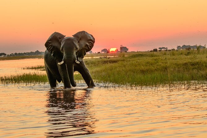 Luxury Sunset River Cruise on the Zambezi - Traveler Requirements