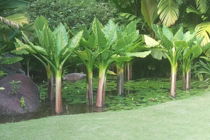 Mahe Private Full Day Tour - Whats Included